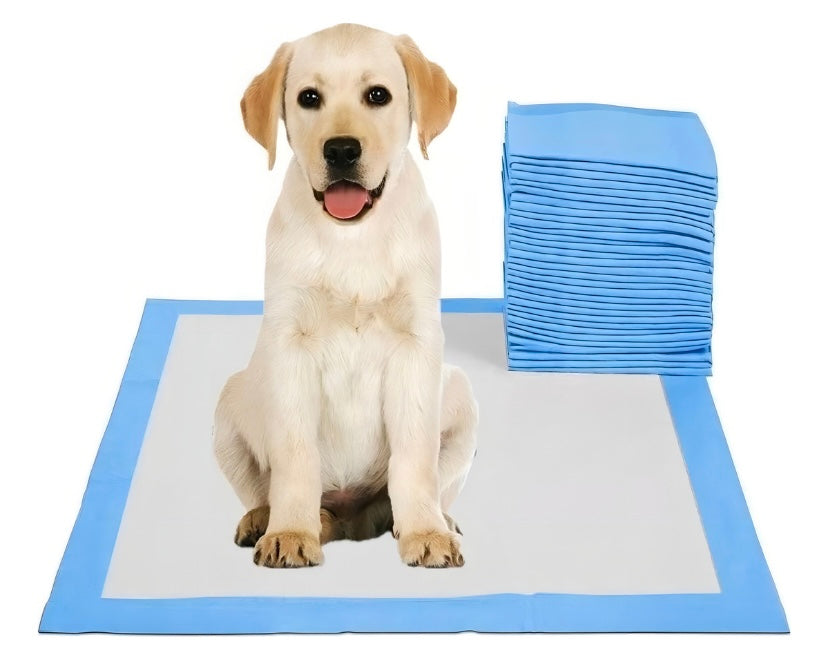 SABANILLAS PARA PERRITOS